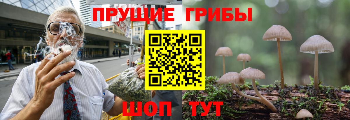 Галлюциногенные грибы ЛСД  Вход с VPN  Орёл 